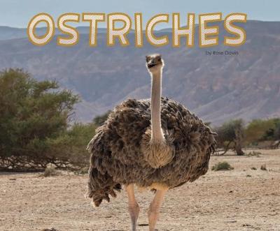 Cover of Ostriches