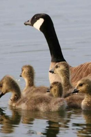 Cover of Lesser Canadian Goose and Brood (Birds of the World)