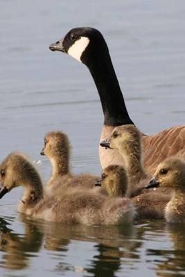 Book cover for Lesser Canadian Goose and Brood (Birds of the World)