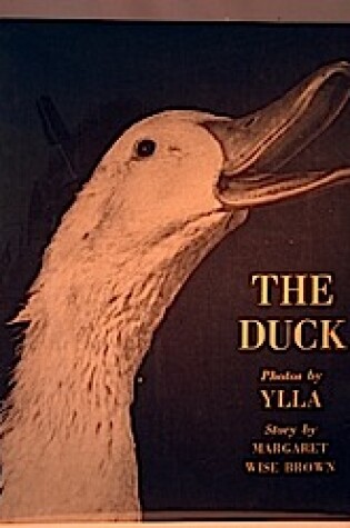 Cover of Duck