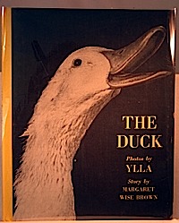 Book cover for Duck