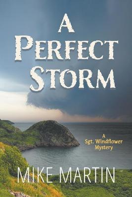 Cover of A Perfect Storm