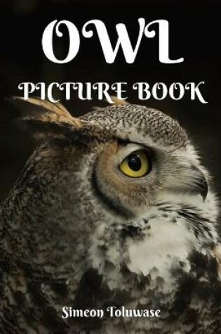 Cover of Owl Picture Book