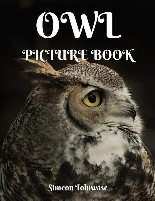 Book cover for Owl Picture Book