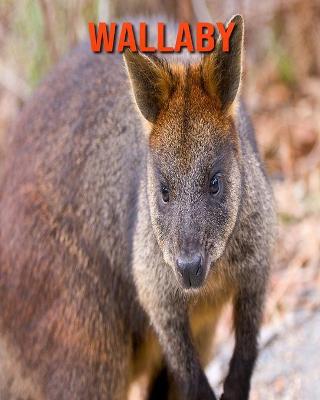 Book cover for Wallaby