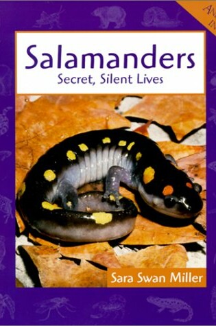 Cover of Salamanders