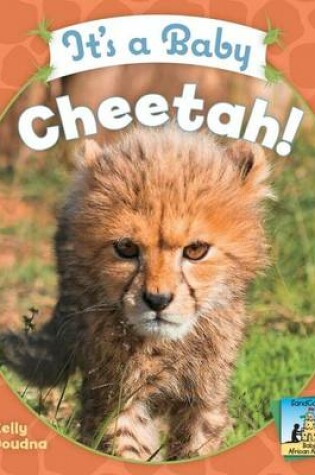 Cover of It's a Baby Cheetah!