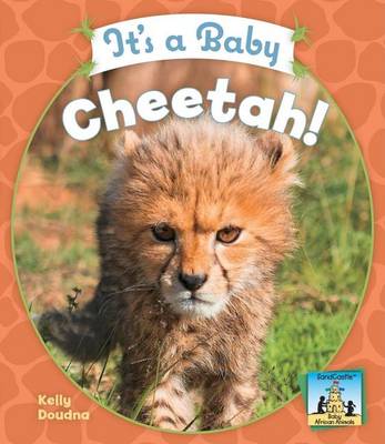 Book cover for It's a Baby Cheetah!