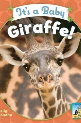 Cover of It's a Baby Giraffe!