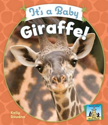 Book cover for It's a Baby Giraffe!