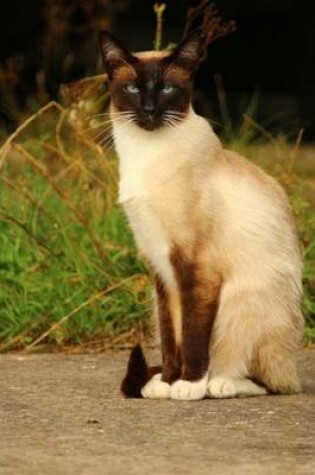 Cover of Dainty Seated Seal Point Siamese Cat Journal