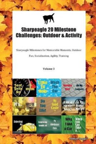 Cover of Sharpeagle 20 Milestone Challenges