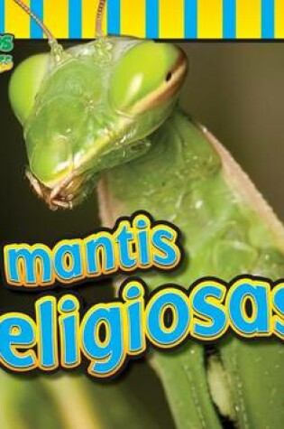 Cover of Las Mantis Religiosas