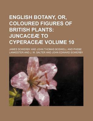 Book cover for English Botany, Or, Coloured Figures of British Plants; Juncaceae to Cyperaceae Volume 10