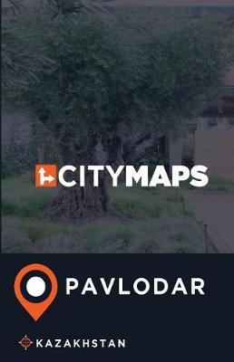 Book cover for City Maps Pavlodar Kazakhstan