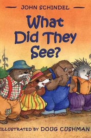 Cover of What Did They See?