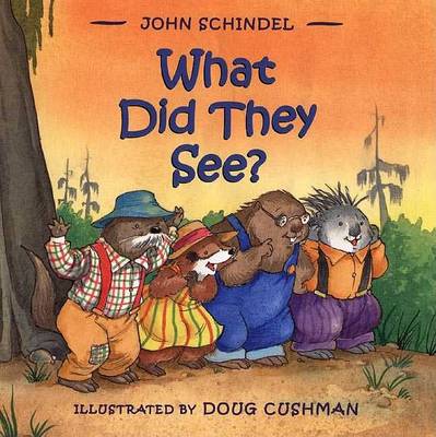 Book cover for What Did They See?