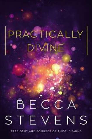 Cover of Practically Divine