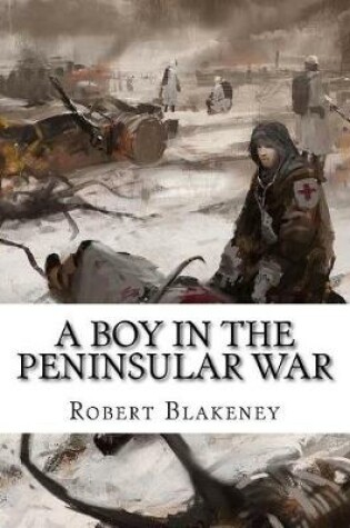 Cover of A Boy in the Peninsular War