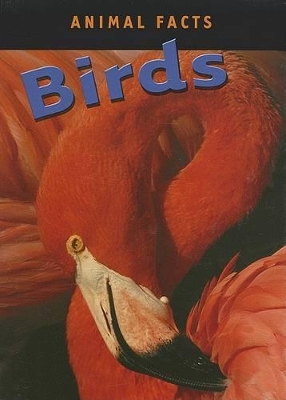 Cover of Birds