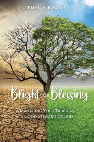 Cover of Blight or Blessing