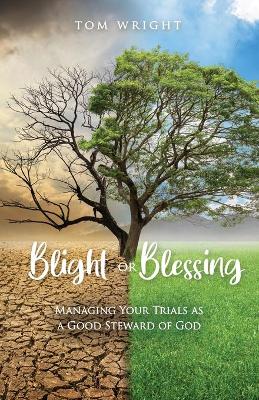Book cover for Blight or Blessing