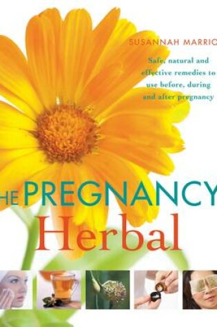 Cover of The Pregnancy Herbal