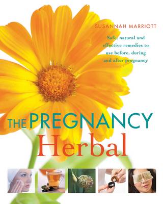 Book cover for The Pregnancy Herbal