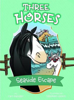 Book cover for Seaside Escape: A 4D Book