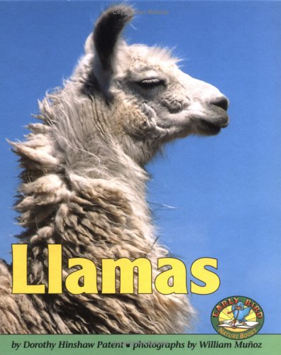 Book cover for Llamas