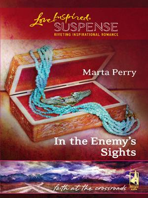 Book cover for In The Enemy's Sights