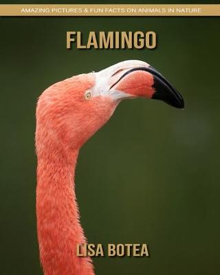 Book cover for Flamingo