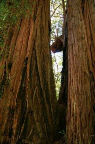 Cover of A Pair of Giant Redwood Trees (for the Love of Nature)