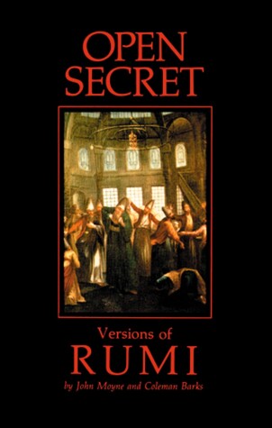 Book cover for Open Secret