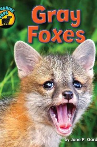 Cover of Gray Foxes