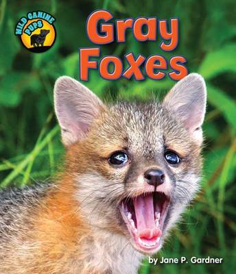 Book cover for Gray Foxes