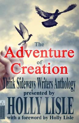 Book cover for The Adventure of Creation