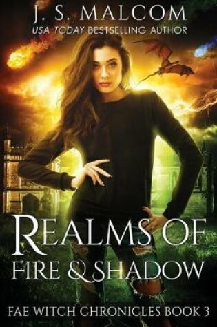 Cover of Realms of Fire and Shadow