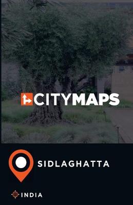 Book cover for City Maps Sidlaghatta India