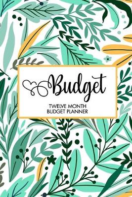 Book cover for Budget Twelve Month Budget Planner