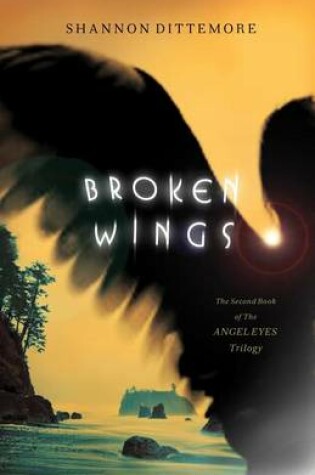 Cover of Broken Wings