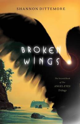 Book cover for Broken Wings