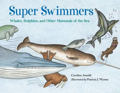 Book cover for Super Swimmers