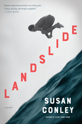 Cover of Landslide