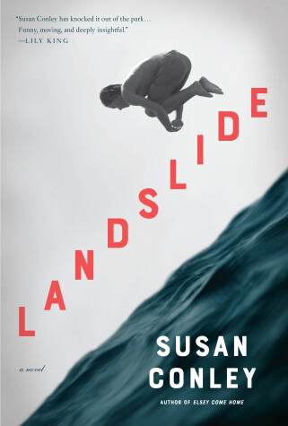 Book cover for Landslide