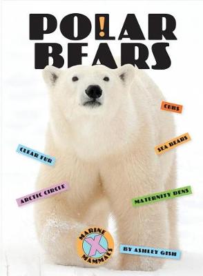 Book cover for Polar Bears