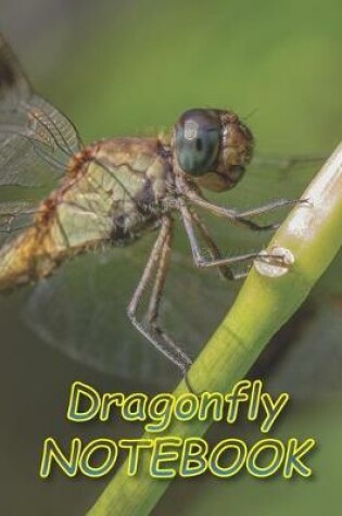 Cover of Dragonfly NOTEBOOK