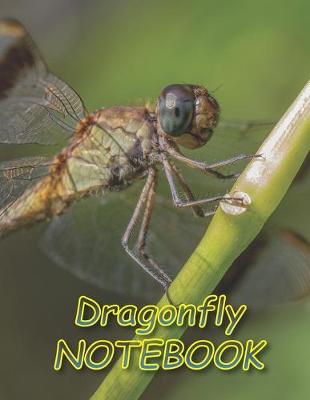 Book cover for Dragonfly NOTEBOOK