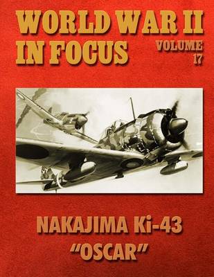 Book cover for World War II in Focus Volume 17