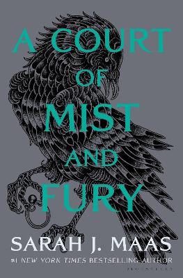 Book cover for A Court of Mist and Fury